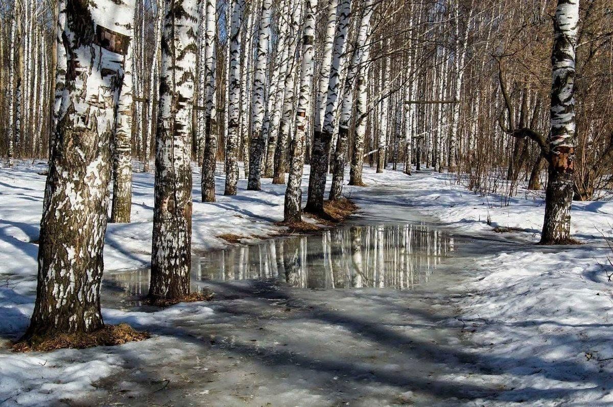 Прогноз погоды.